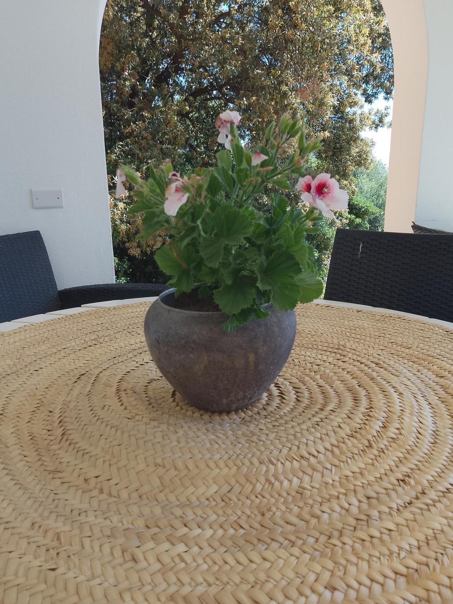 B&B Bentos Pula Di Lucarelli S Zewnętrze zdjęcie
